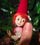 <font color="#f1b0b0">...<font color="#990000">Pippa the Gnome - Welcome in my gallery</font></font>